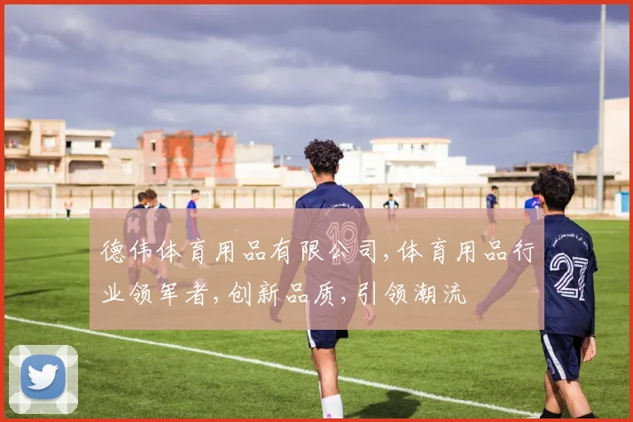 德伟体育用品有限公司,体育用品行业领军者,创新品质,引领潮流