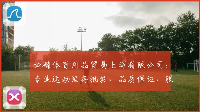 必确体育用品贸易上海有限公司，专业运动装备批发，品质保证，服务周到，一站式购物体验，尽在必确